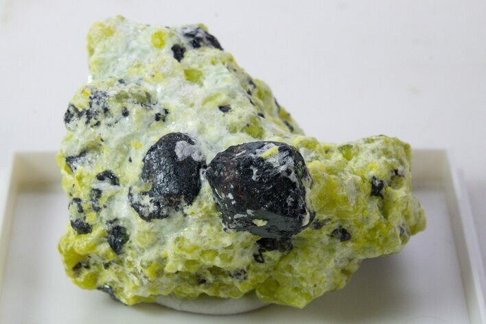 Hematite Crystals with Lizardite and Hydrotalcite - Norway #345747
